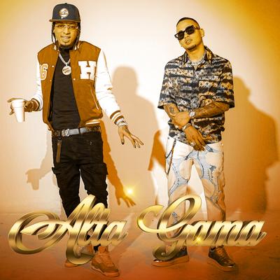 Alta Gama (Remix)'s cover