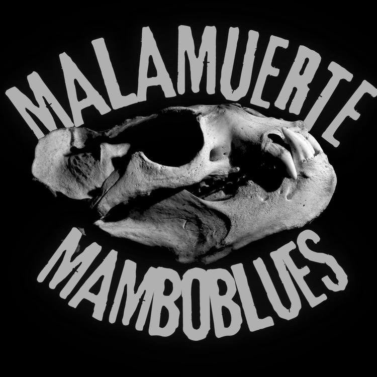 Mala Muerte Mambo Blues's avatar image