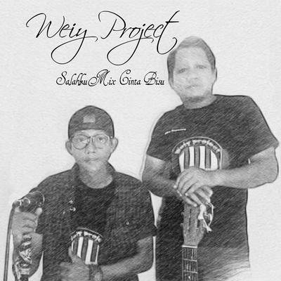 Weiy Project's cover