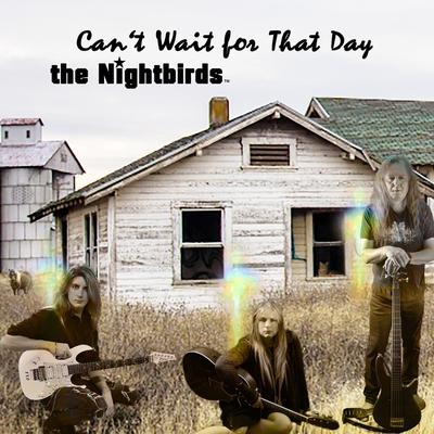 The Nightbirds's cover