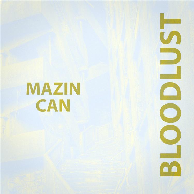 Mazin Can's avatar image