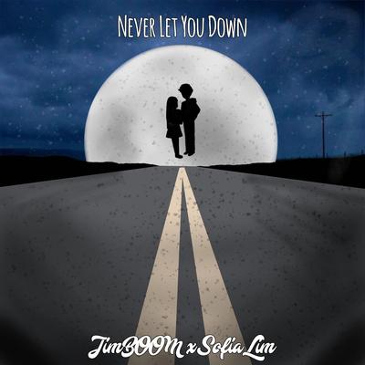 Never Let You Down's cover