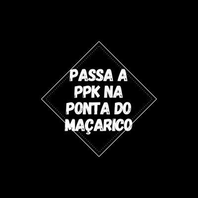 PASSA A PPK NA PONTA DO MAÇARICO By Dj LW's cover