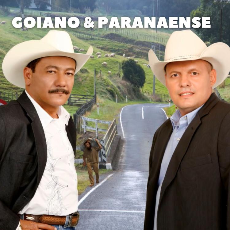 Goiano & Paranaense's avatar image