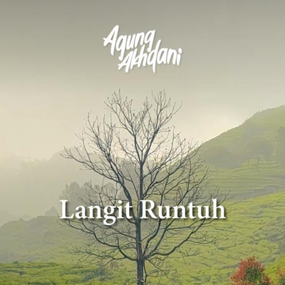 Langit Runtuh (Acoustic)'s cover