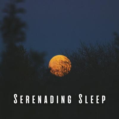 Serenading Sleep: Lofi Chill Music for Nighttime Bliss's cover