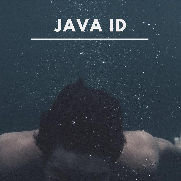 Java ID's avatar image