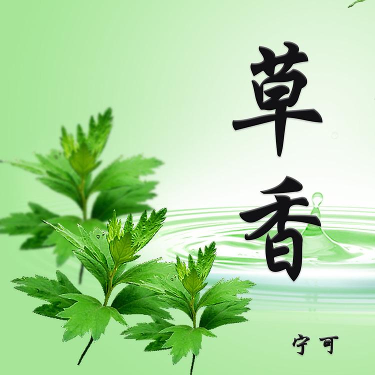 宁可's avatar image