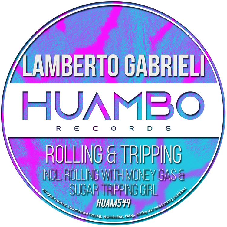 Lamberto Gabrieli's avatar image