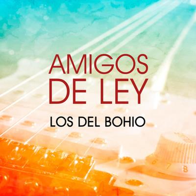 Amigos de Ley's cover