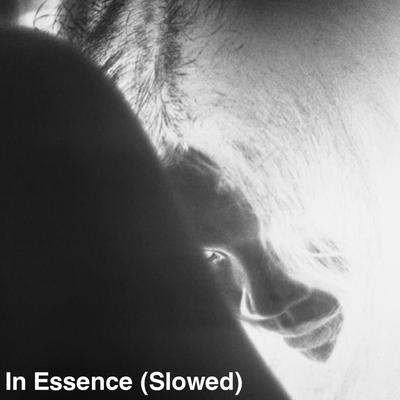 In Essence (Slowed) By Ka$tro's cover