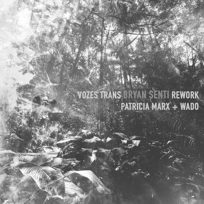 Vozes Trans (Bryan Senti Rework)'s cover
