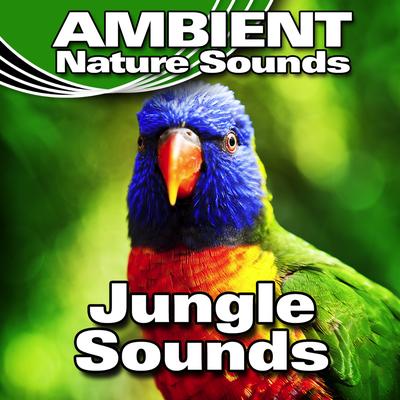 Early Morning Jungle Background By Ambient Nature Sounds's cover