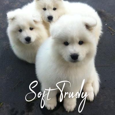 Soft Trudy's cover