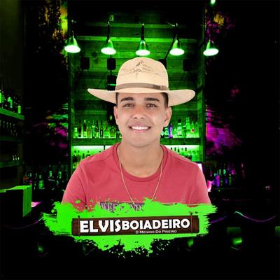 Solta o  Piseiro By Elvis Boiadeiro's cover