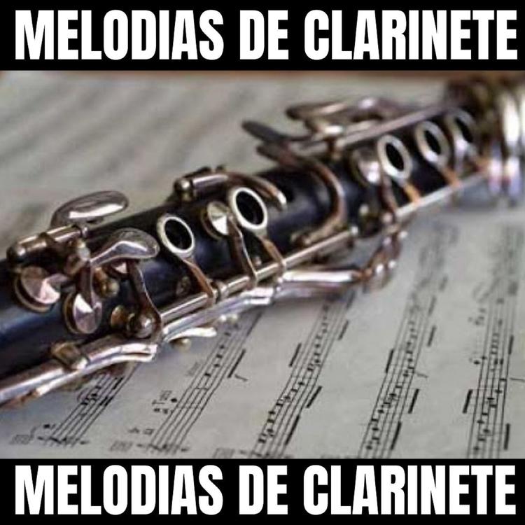 Melodias De Clarinete's avatar image
