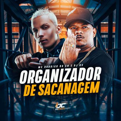 Organizador de Sacanagem By Mc Rodrigo do CN, DJ HV's cover