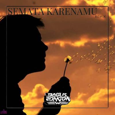 Semata Karenamu (Remix)'s cover