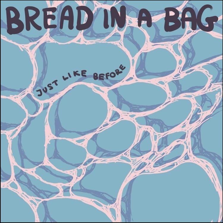 Bread in a Bag's avatar image