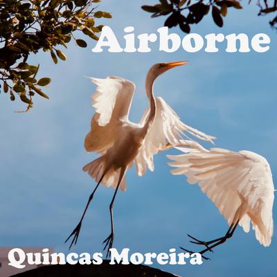 Airborne (Pop and Dance Tracks)'s cover