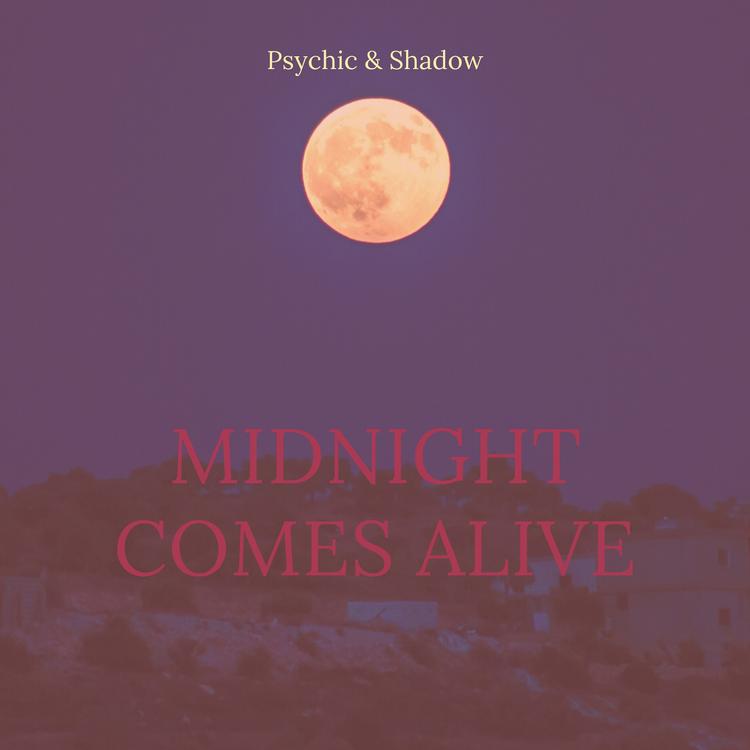 Psychic & Shadow's avatar image