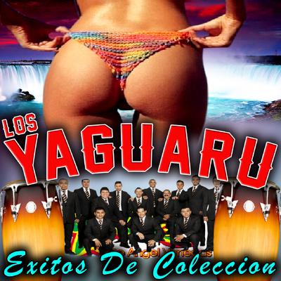 Exitos de Colección's cover