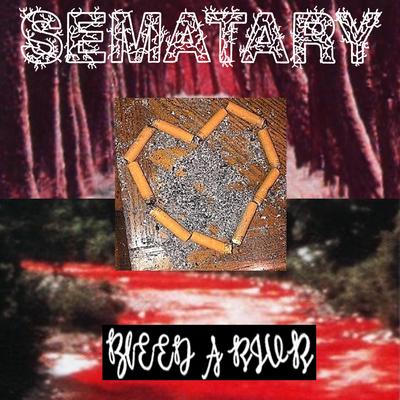 Bleed A River By Sematary's cover