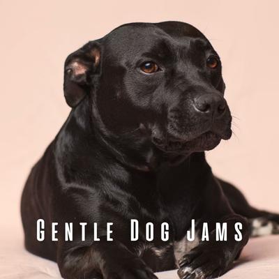 Gentle Dog Jams: Lofi Peaceful Tunes's cover