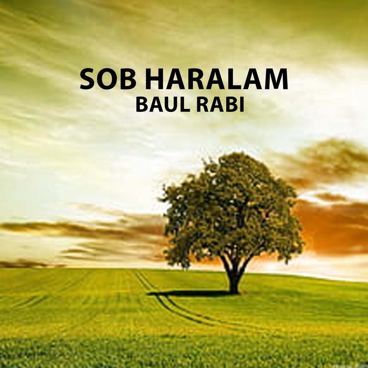 baul rabi's avatar image