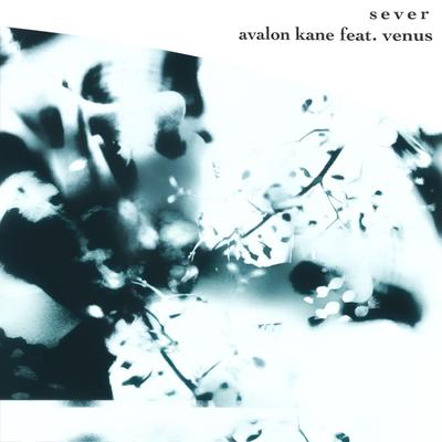 Sever By Avalon Kane, Venus's cover