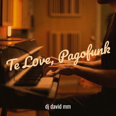 TE L0VE, Pagofunk By DJ David MM's cover