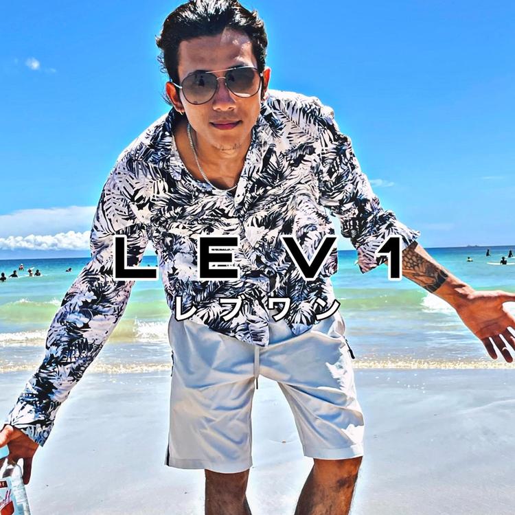 Lev1's avatar image