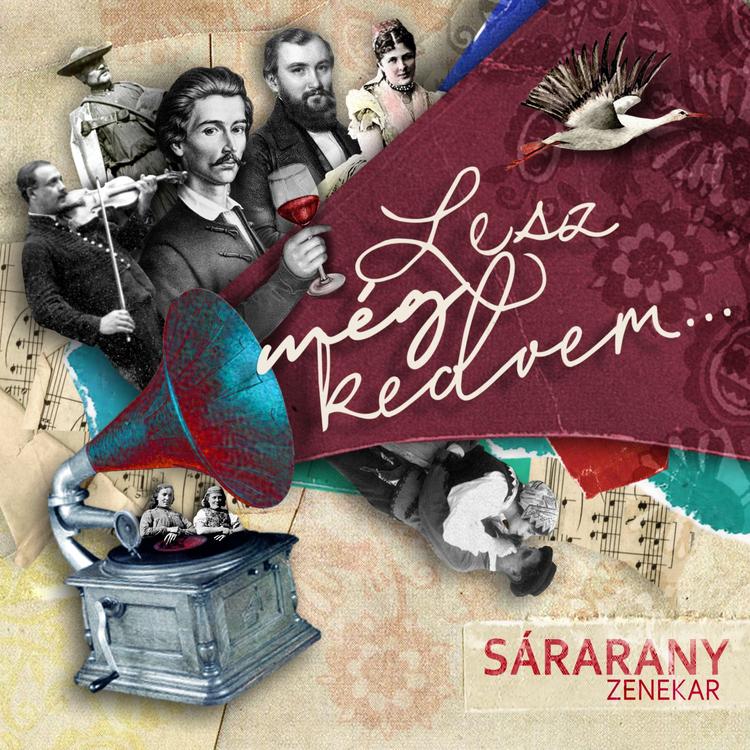 Sárarany zenekar's avatar image