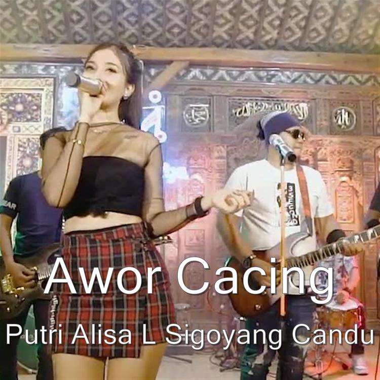 Awor Cacing's avatar image