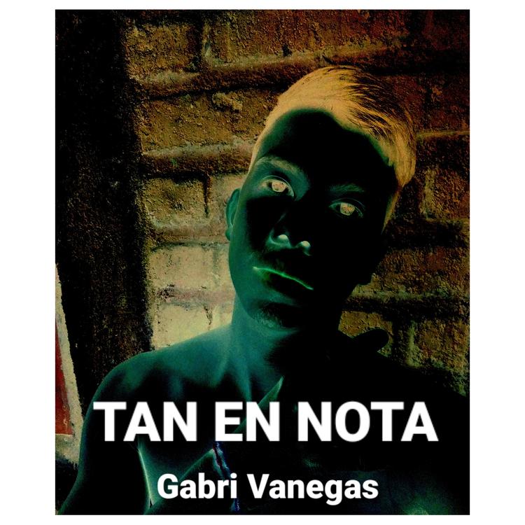 Gabri Vanegas's avatar image