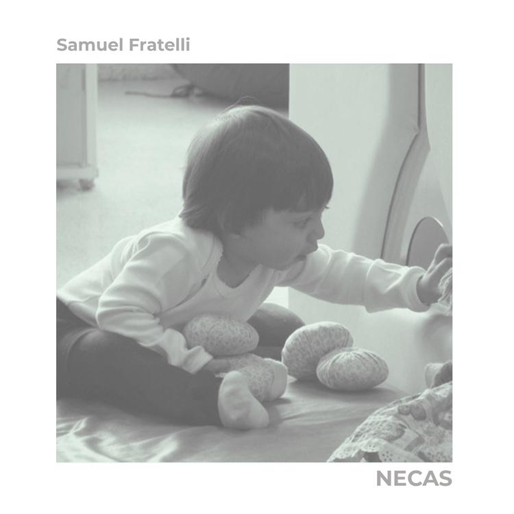 Samuel Fratelli's avatar image