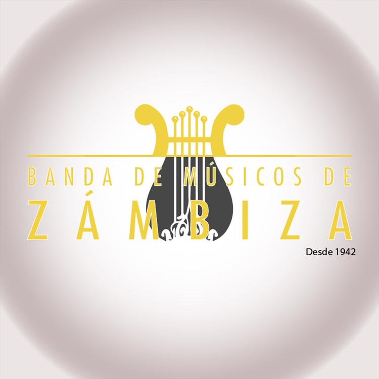 Banda de Músicos en Zámbiza's avatar image