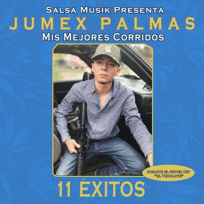 Mis Mejores Corridos (11 Exitos)'s cover