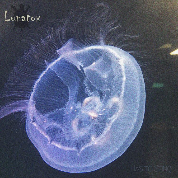Lunatox's avatar image