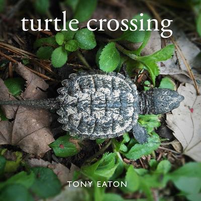 Into the Rhythm By Tony Eaton's cover