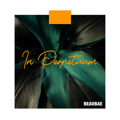 In Perpetuum By beauBAE's cover