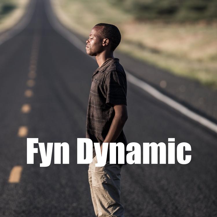 Fyn Dynamic's avatar image