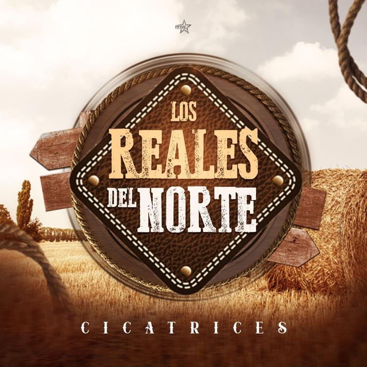 Los Reales del Norte's avatar image