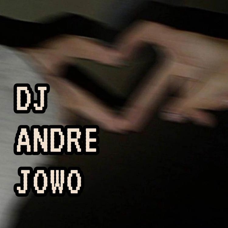 DJ ANDRE JOWO's avatar image