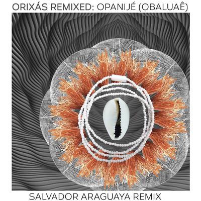 Orixás Remixed: Opanijé (Obaluaê) (Salvador Araguaya Remix)'s cover