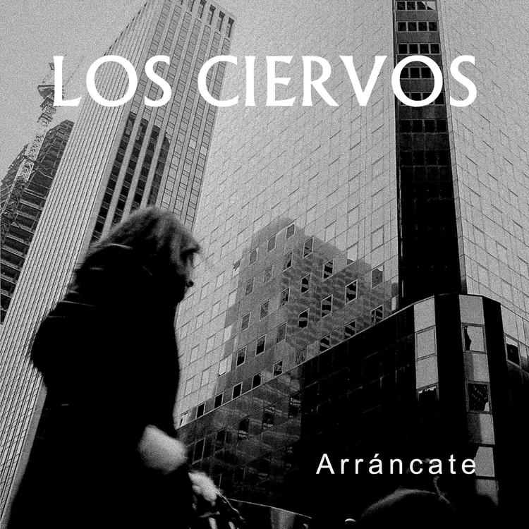 Los Ciervos's avatar image