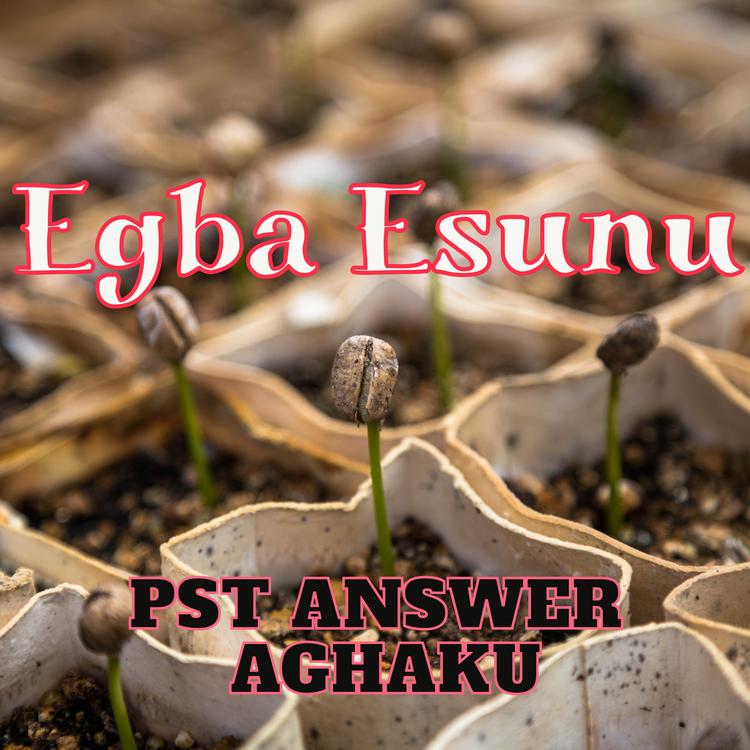 PST ANSWER AGHAKU's avatar image
