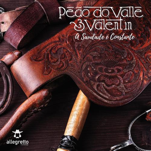 Peão do Valle & Valentin - Lágrimas na Areia (Album Completo - LANÇAMENTO)  