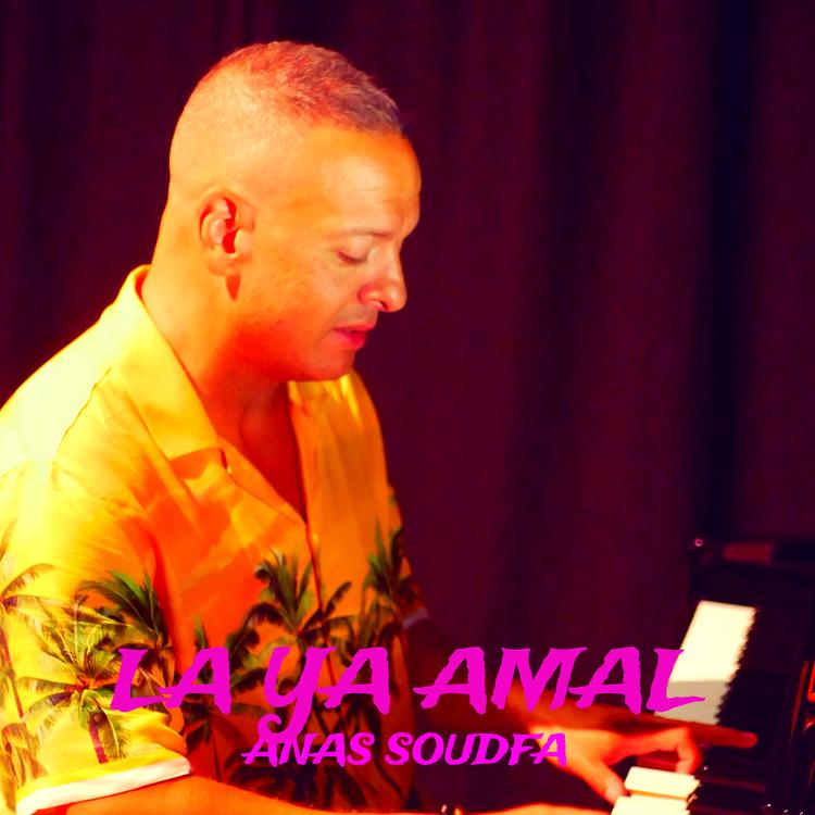 Anas Soudfa's avatar image