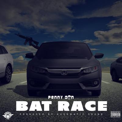 Bat Race's cover
